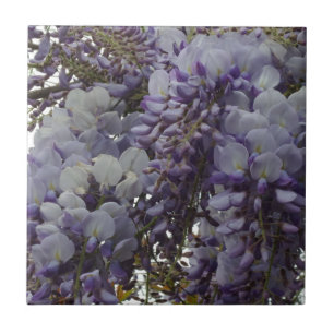 Wistaria Small (4,25" x 4,25") Keramik Foto Tile Fliese