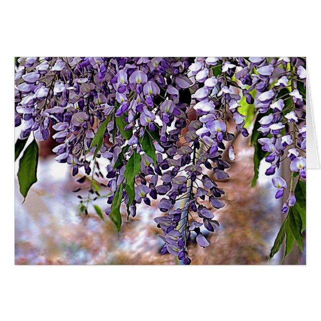 Wisteria (Devant horizontal)