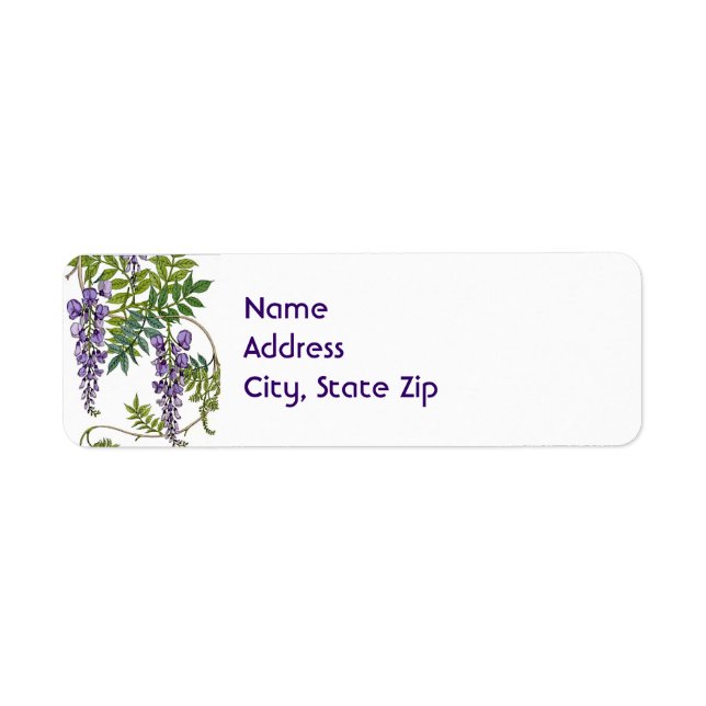 Wisteria (Vorne)