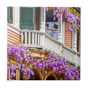 Wisteria an einem alten südlichen Haus in Savannah Fliese
