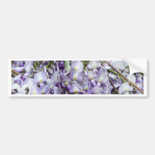 Wisteria Autoaufkleber