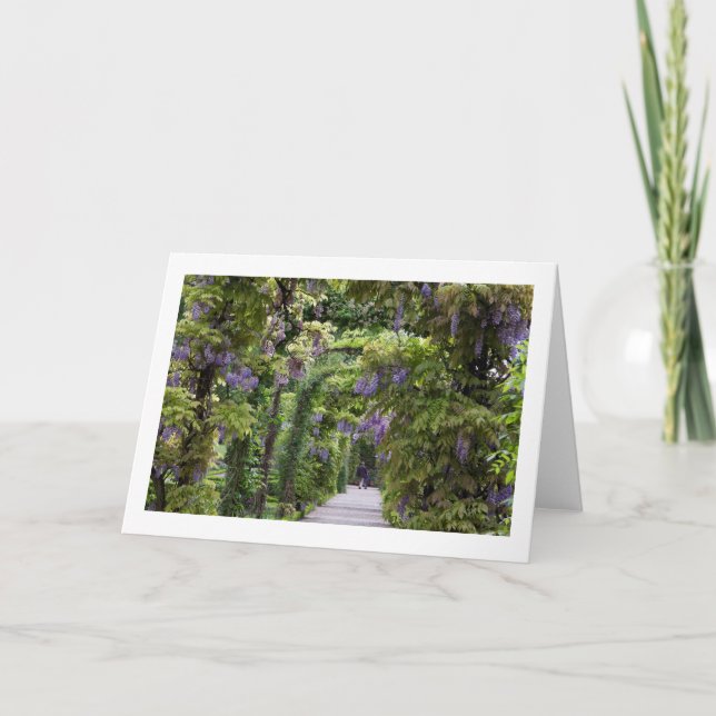 Wisteria-Blankenkarte Karte (Vorderseite)