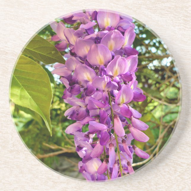 Wisteria Bloom Getränkeuntersetzer (Vorne)