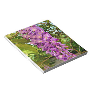 Wisteria Bloom Notizblock