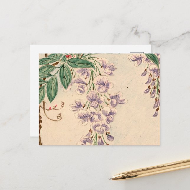 Wisteria-Blume, Lila-Blumen, Blumenmuster Postkarte (Vorderseite/Rückseite Beispiel)
