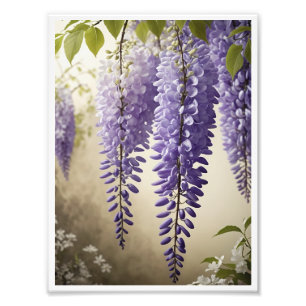 Wisteria Blume Poster Wine tasting in der Fattoria
