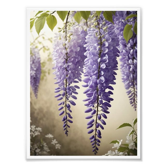 Wisteria Blume Poster Wine tasting in der Fattoria (Vorne)