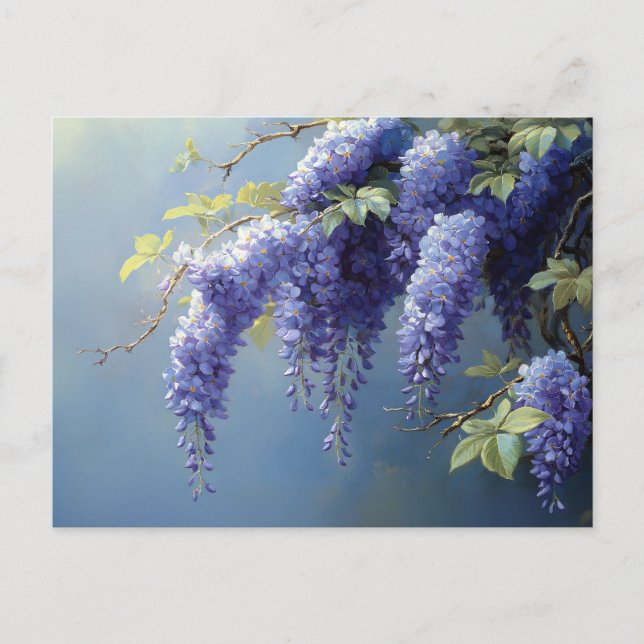 Wisteria-Blume über einem weichen, blauen Hintergr Postkarte (Vorderseite)
