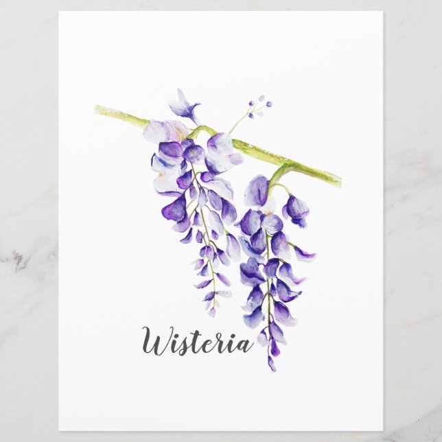 Wisteria Botanische Schriftzüge (Vorderseite)