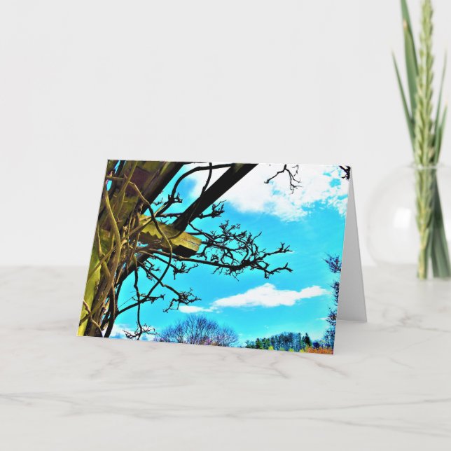 Wisteria, carte (Devant)