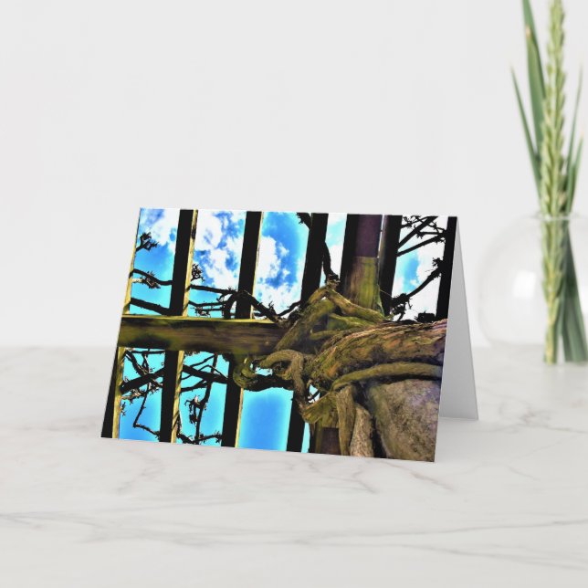 Wisteria, carte (Devant)