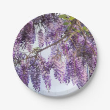 Wisteria-Duschen-Papier-Teller