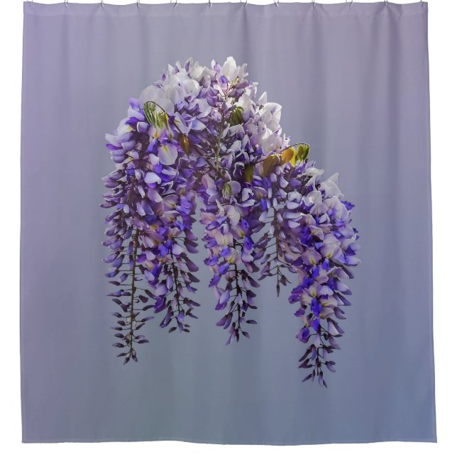 Wisteria Duschvorhang (Vorderseite)