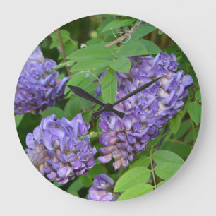 Wisteria in Bloom Große Wanduhr