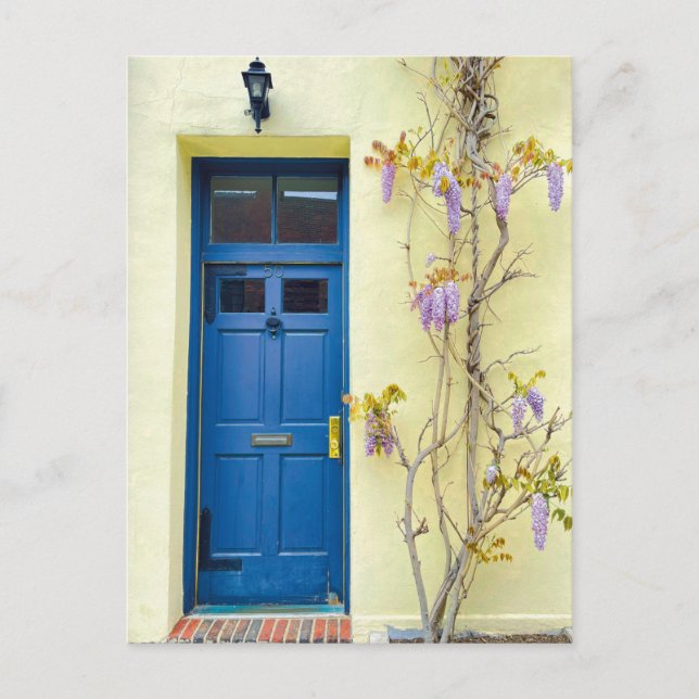 Wisteria in Bloom New York Postcard Postkarte (Vorderseite)