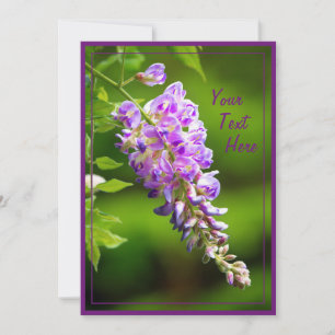 Wisteria Karte