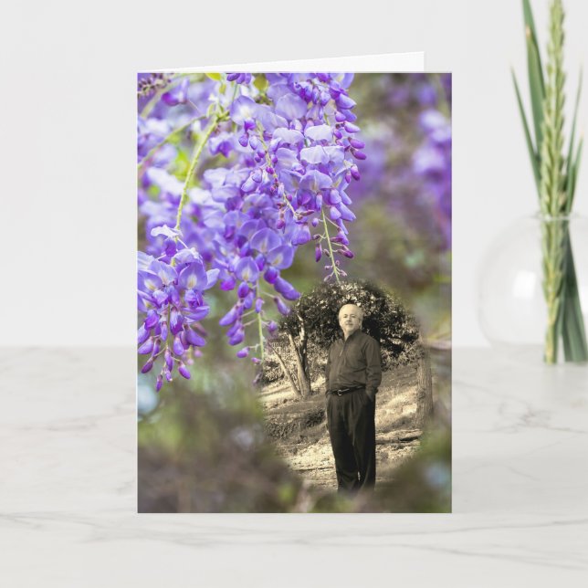 Wisteria Life Ankündigung (Vorderseite)