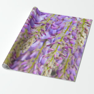 Wisteria Lila Blütenbaum Flieder Wrappin Geschenkpapier