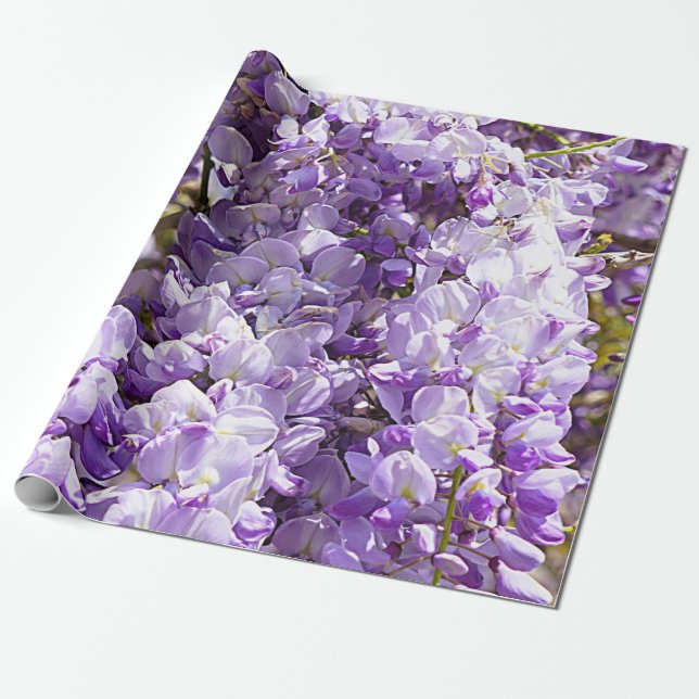 Wisteria Lila Floral Blossom Tree Violet Geschenkpapier (Ungerollt)