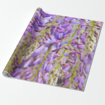 Wisteria Lila Floral Blossom Tremola