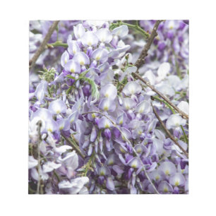 Wisteria Notizblock