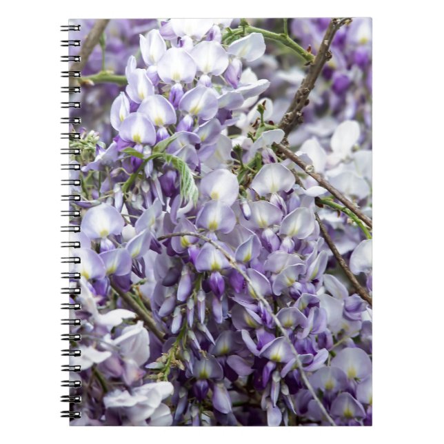 Wisteria Notizblock (Vorderseite)