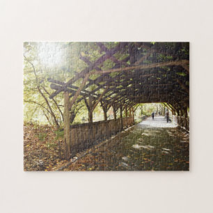Wisteria Pergola New York City Central Park NYC