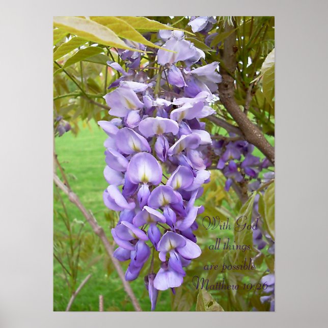 "Wisteria".. Schriftzüge Poster (Vorne)
