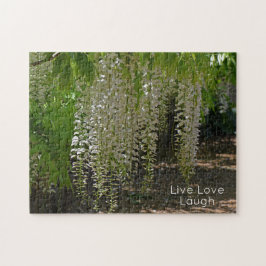 Wisteria White Garden Blume Live Liebe