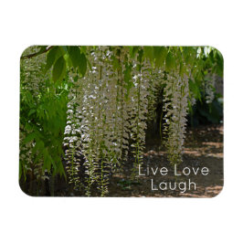 Wisteria White Garden Blume Live Liebe Magnet