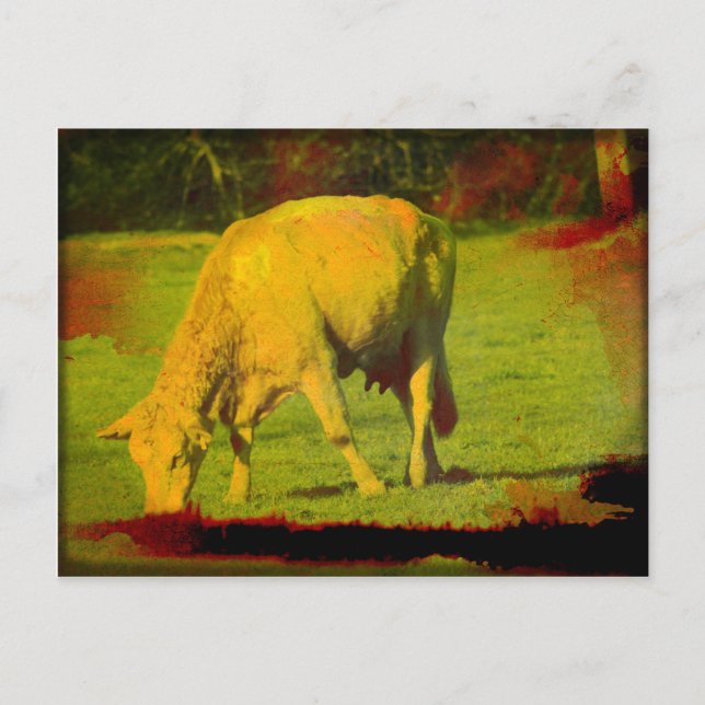 Witterungsweide Postkarte (Vorderseite)