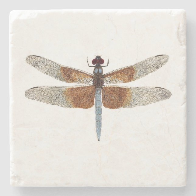 Witwen-Abstreicheisen-Libellen-Untersetzer Steinuntersetzer (Vorderseite)