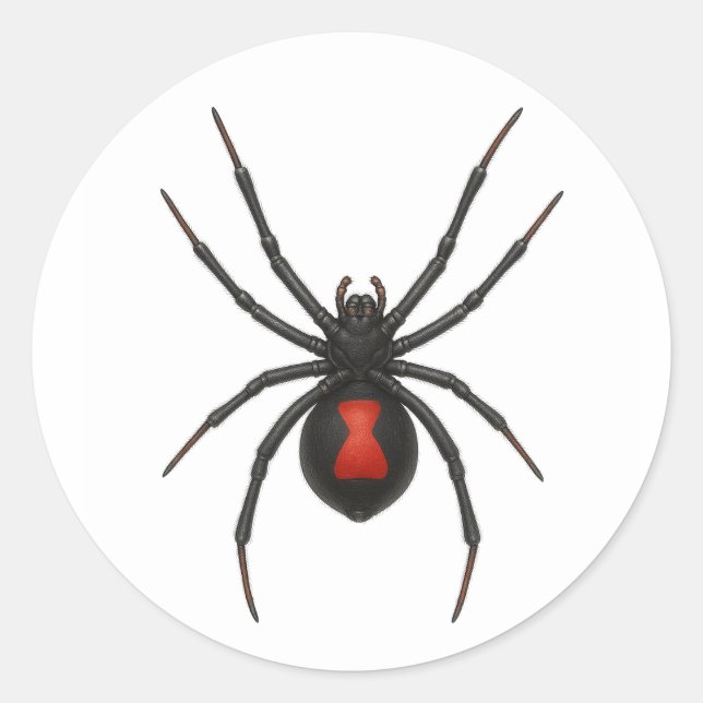 Witwenwarnung: Schwarze Witwenspinne Runder Aufkleber (Vorderseite)