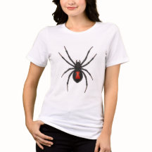 Witwenwarnung: Schwarze Witwenspinne