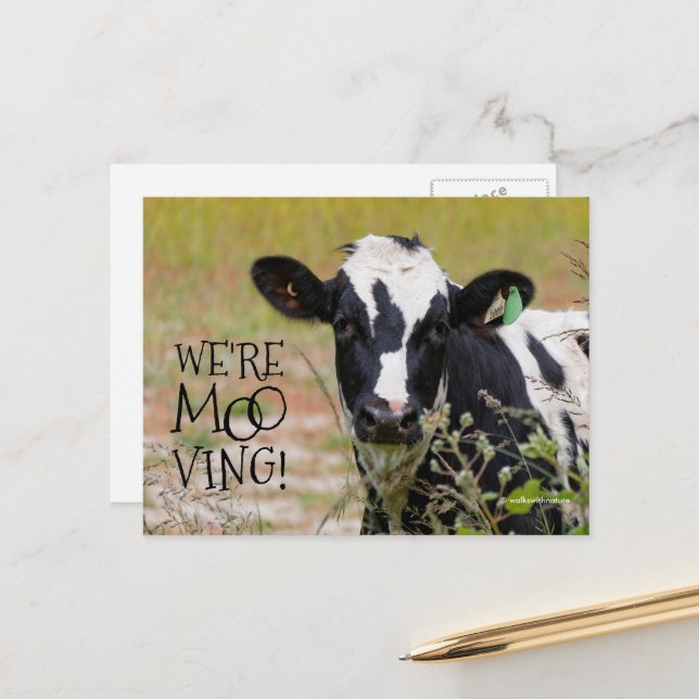 Witzig: "Wir sind moo-ving!" Kuh Postkarte (Vorderseite/Rückseite Beispiel)