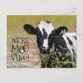 Witzig: "Wir sind moo-ving!" Kuh Postkarte