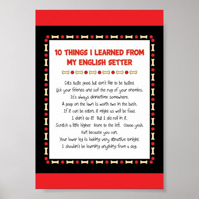 Witzige Dinge, die ich von meinem Englischunterric Poster (Vorne)