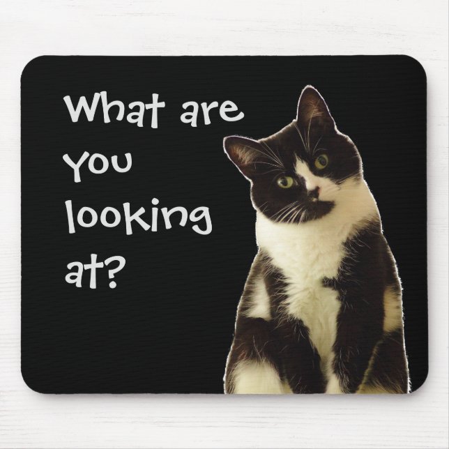 Witzige Katze "Was schaust du dir an?" Mousepad (Vorne)