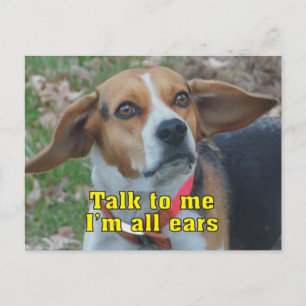 Witzige Rede mit mir, ich bin ganz Ohr Beagle Postkarte