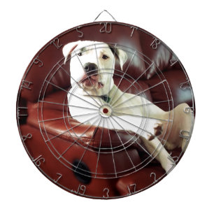 Witziger Bullenhund auf dem Sofa Dartscheibe