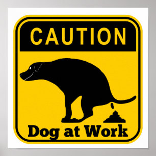 Witziger Hund am Arbeitsplatz Poster