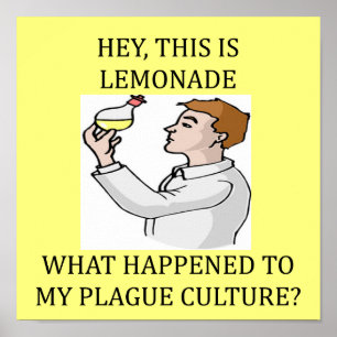 witziger Labrador Poster