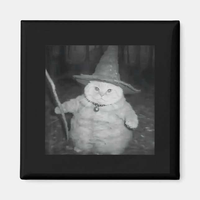 Wizard Cat Weird Funny Halloween Cat Meme Magnet (Vorne)