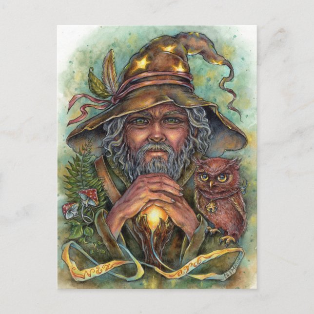Wizard Postcard Forest Fantasy Magic Owl Postkarte (Vorderseite)