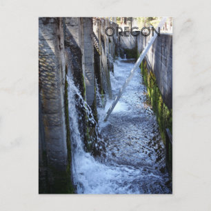 Wizards Fall Postkarte