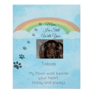 Wo die Liebe immer noch durchscheint Poster