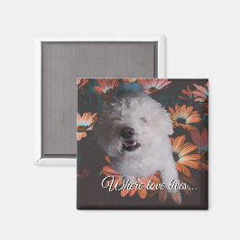 Wo die Liebe wohnt Magnet