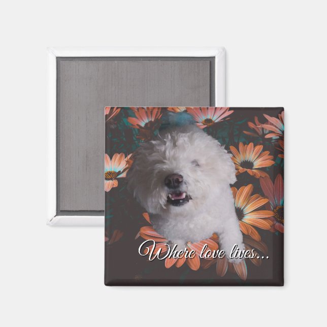 Wo die Liebe wohnt Magnet (Vorderseite/Rückseite)