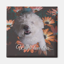Wo die Liebe wohnt Magnet
