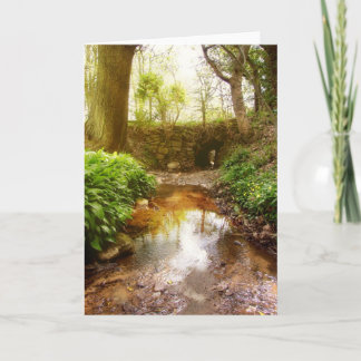 Wo Feen spielen Karte